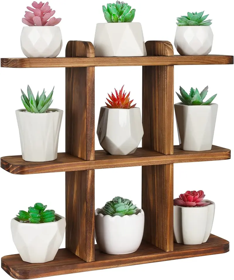 succulent plant stand - TikTok Shop
