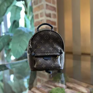 Pre-owned Louis Vuitton canvas Backpacks Palm Springs Mini Monogram Backpack