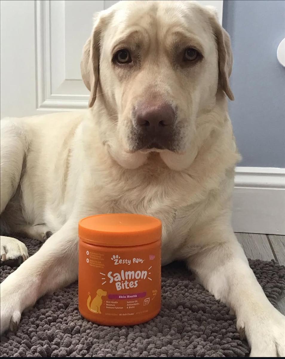 Item: 90 Chews, Salmon