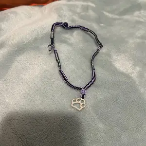 Custom pet collars