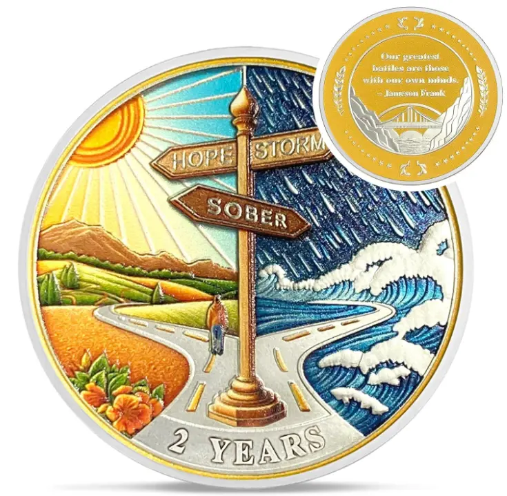 1-10 Year Sobriety Coin - Road Signs Sobriety Chip Reborn from Storm AA Chips and Medallions Sober Token NA Alcoholics Anonymous Sobriety Gifts for Men Women