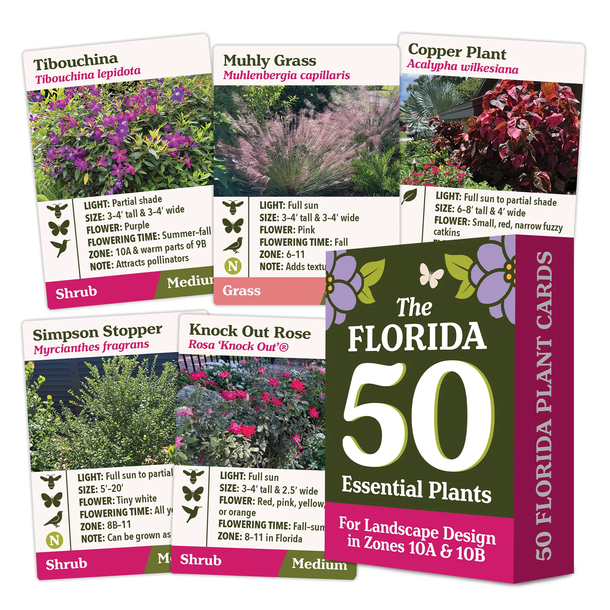 The Florida 50 Essential Plants Card Deck for Landscape Design in Zone 10A & 10B