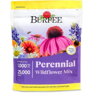 Wildflower 25,000 Bulk, 1 Bag | 18 Varieties of Non-GMO Flower Seeds Pollinator Garden, Perennial Mix