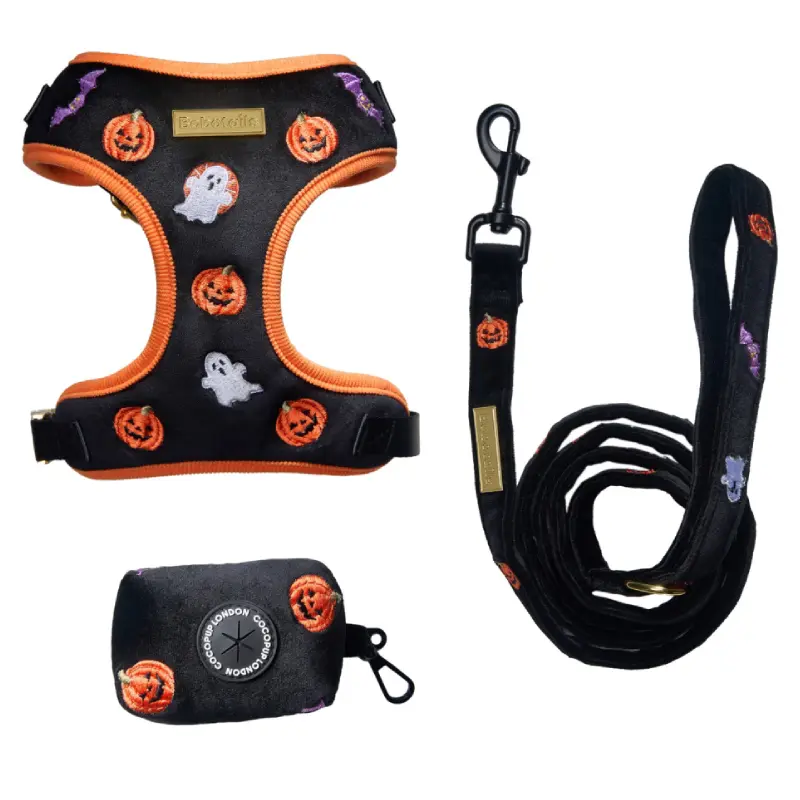 Bobotails Halloween Bundle Set With Dog Harness, Dog Leash and Poop Bag Holder
