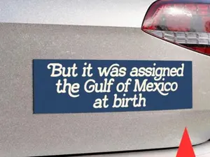 Gulf of Mexico at birth Car Magnet, FDT Magnet, deport elon Magnet, Against Fascism Car Magnet, liberal car Magnet