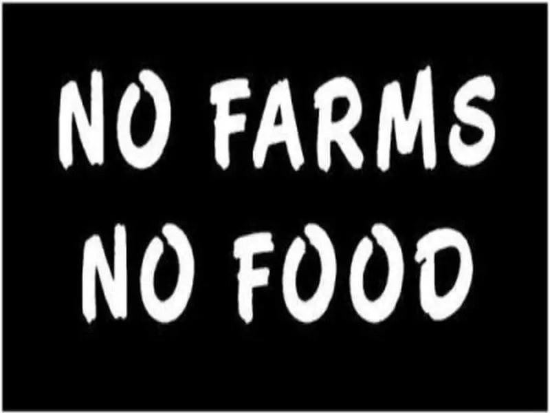 White Vinyl Decal No Farms No Food Farmer Country Tractor Sticker Truck, Die Cut Decal Bumper Sticker for Windows, Cars, Trucks, Laptops, Etc.
