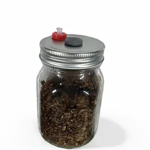 Pre-Sterilized Grain Spawn Jar Ready for Mushroom Growing