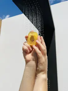 Crystal Bar Soap - Attracting Wealth - Vegan - Crystal Infused - 5 oz - Scented in Cedarwood, Lavender and Vanilla