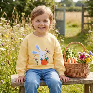 Toddler Girl's Casual Cotton Crew Neck Long Sleeve Pullover Sweatshirt - Soft Comfortable Everyday Wear Perfect for Daily Play Preschool Kindergarten Outfits Lightweight Warm Sweater Shirt Top for Kids