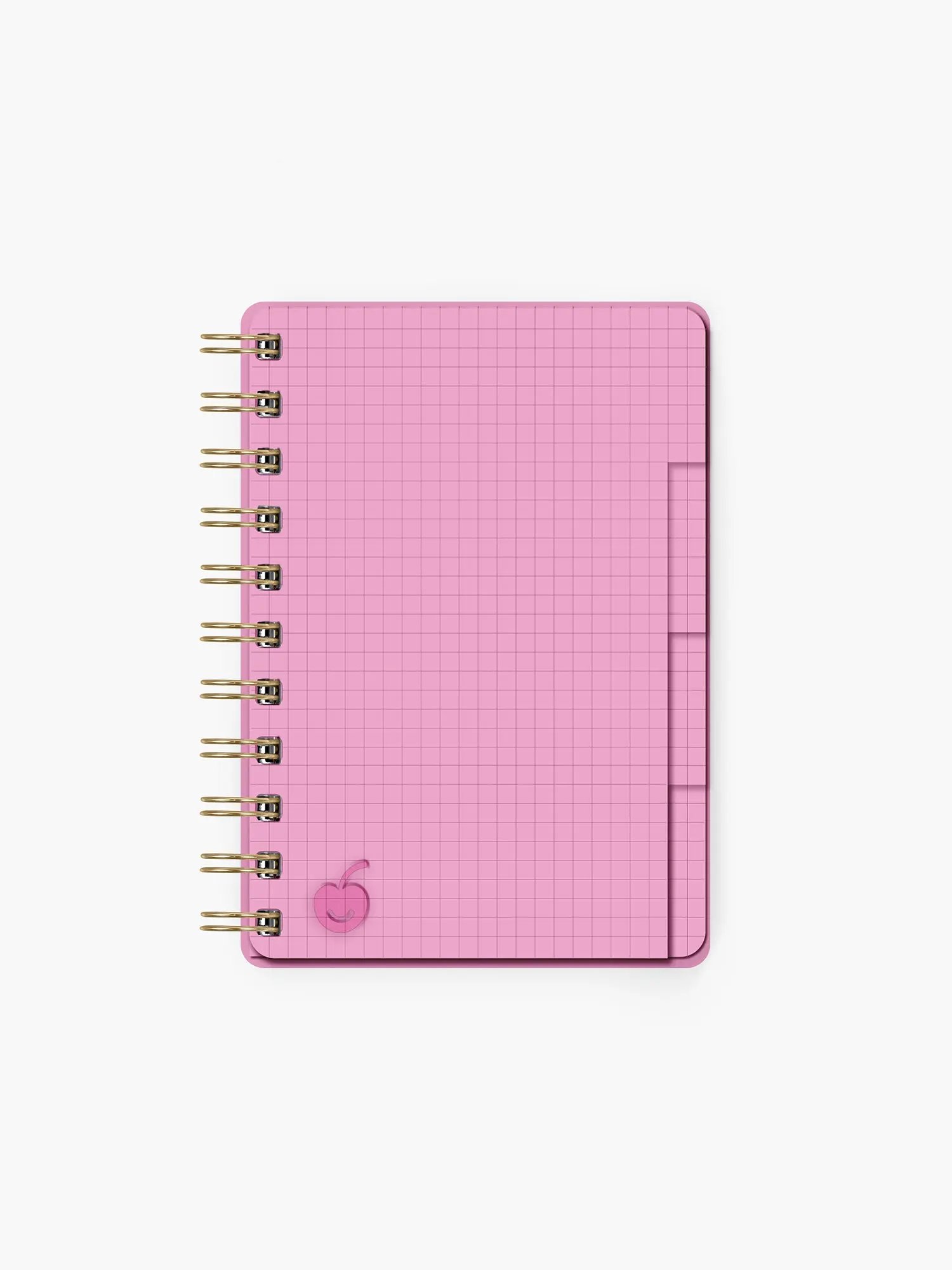 Strawberry A6 Bingsu Acrylic Notebook