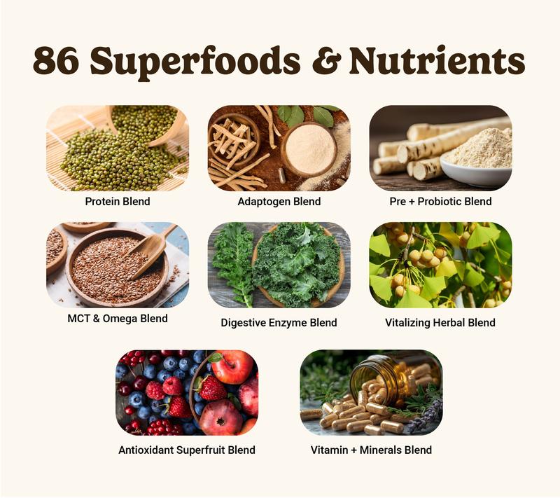 VitaHustle ONE Superfood Max Protein with Creatine 15-Servings