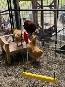 Chicken Swing Poultry Run Rooster Hens Chicks Pet Parrots Entertainment Cooped Up Due to Weather Predators Ordinances Adjustable 18-48" UV Treated Solid Safety Tongues Included Ropes S-Hooks Supports