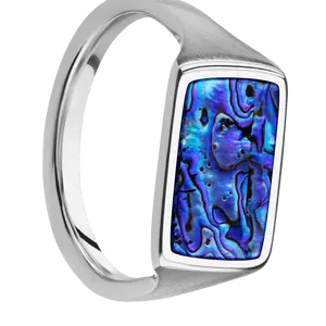 Medium Horizontal Rectangle signet ring (16x11.5mm) in Cobalt Chrome, with a Thin style band, a Blue Purple Abalone inlay.