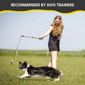 Flirt Pole for Dogs - Safe & Strong for Large Breeds Cord - Spring Pole for Tug of War, Interactive Play & Puppy Training - Teaser Wand for Outdoor Exercise