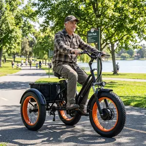 Easingo Adult , 700w Motor, Max Range 50 Miles.With 48v15ah Battery and Large Capacity Basket,Maximum Load Capacity 400 Lbs, Maximum Speed 18 Mph,20x4.0" s, Christmas Gift Electric Tricycle Fat Tire SpringStatements