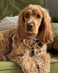 Wander! Bow Harness 2.0 - Leopard