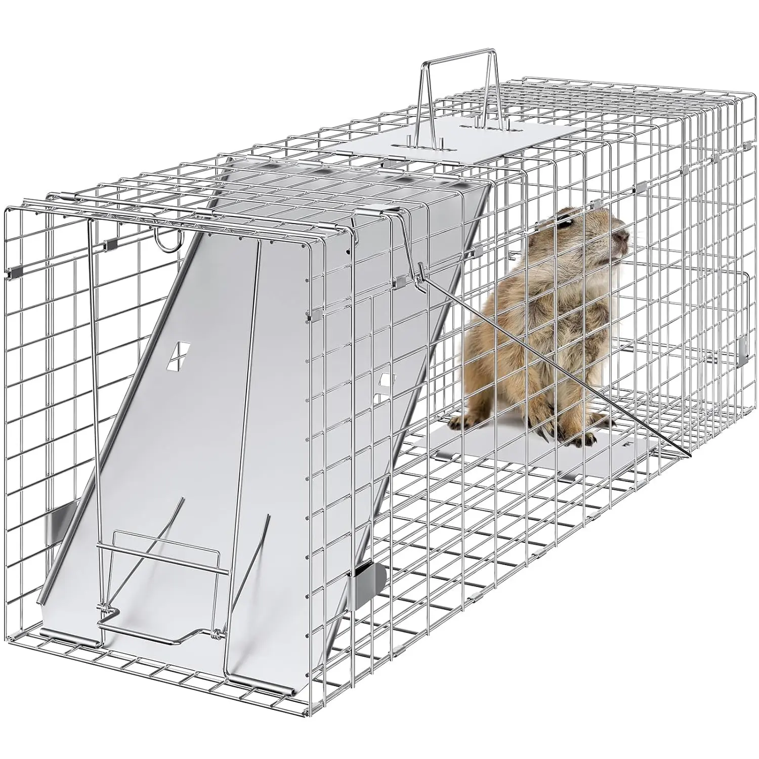 VEVOR VEVOR Live Animal Cage Trap, 31" x 10" x 12" Humane Cat Trap Galvanized Iron, Folding Animal Trap with Handle for Rabbits, Stray Cats, Squirrels, Raccoons, Groundhogs and Opossums