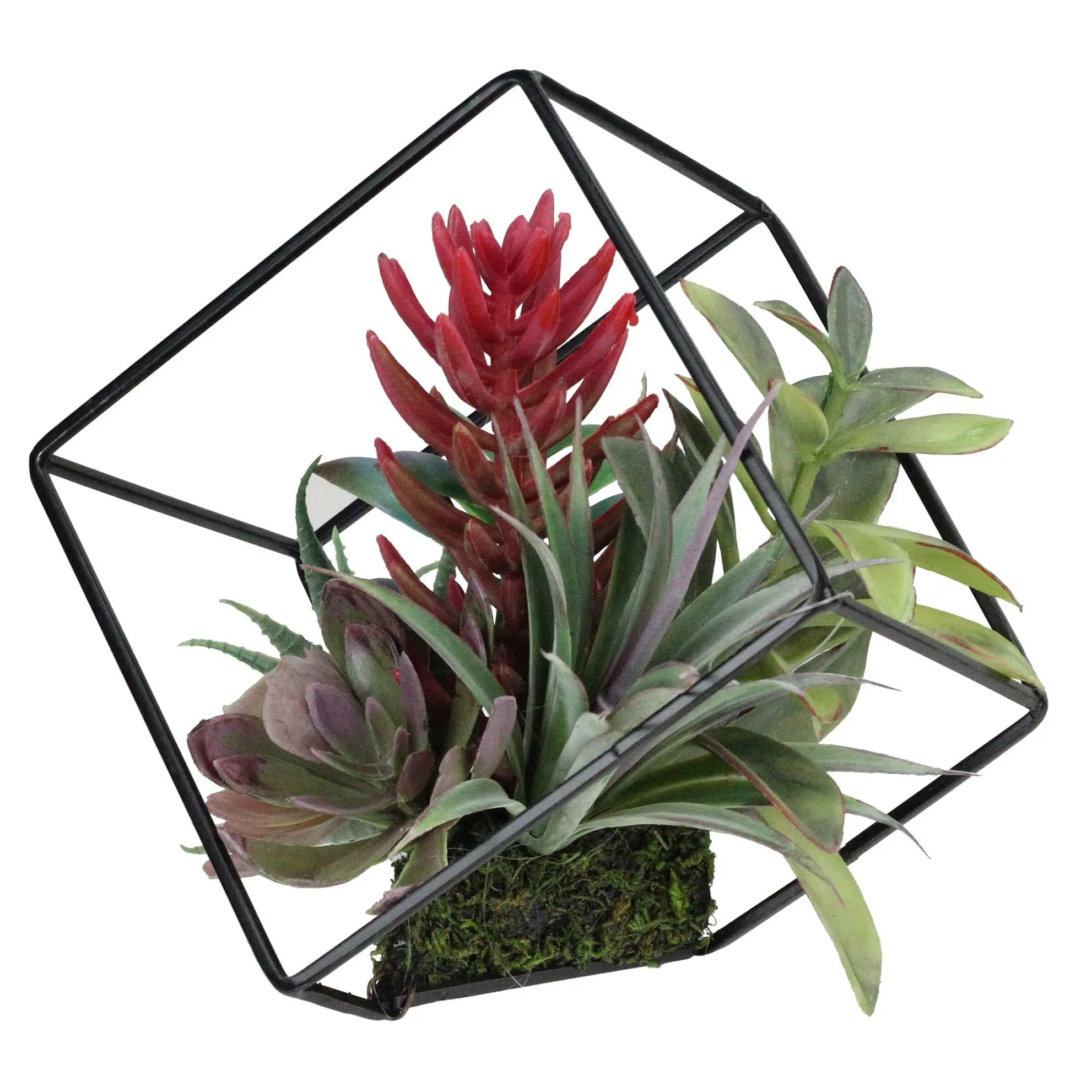 Northlight 7" Artificial Succulent Arrangementin Wire Frame