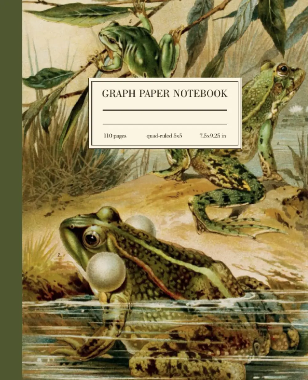 Graph Paper Notebook Quad Ruled 5x5: Frog Vintage Science Illustration | Cute Nature Composition Book For Math, Physics, Engineering Students | 5 squares per inch