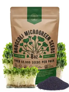 Broccoli Sprouting & Microgreens Seeds 8ozbroccoli seeds for sprouting, broccoli sprouts, broccoli sprout seeds, organic broccoli sprout seeds, broccoli sprouts growing kit, broccoli seeds, organic broccoli seeds for sprouting