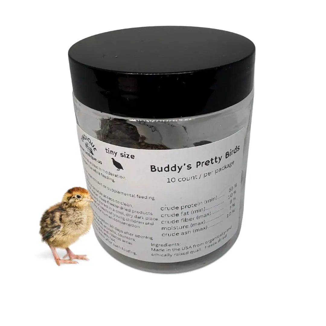 Undique Premium Dehydrated Quail Whole Bird Treats for Cats and Dogs, 10 Count - Nutritious Small Pet Snack