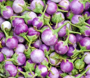 100+ Seeds Thai Small White Purple Eggplant Seeds for Planting, Perennial Fresh Vegetable Seeds for Garden