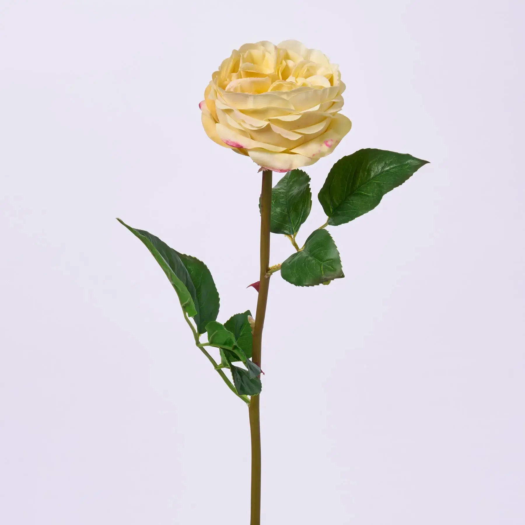22 in Decorative Real Touch Pastel Yellow English Rose Single Wired Stem Artificial Flower Spray, 23" Tall x 5" Wide x 3" Diameter for Wedding, Artificial Flower Arrangements (Home Supplies, Home Decor)