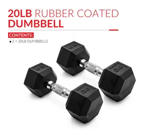 Barbell 20lb Coated Rubber Hex Dumbbell - Pair for Home Gym Fitness