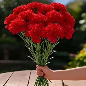 12PCS Artificial Carnations Flowers Fake Plants Silk Carnations for Mother's Day Valentine's Day Wedding Centerpiece Bridal Shower Table Decor Home Party Birthday Decoration Funeral Arrangement Wedding Bouquet Cemetery Wreath DIY Crafts