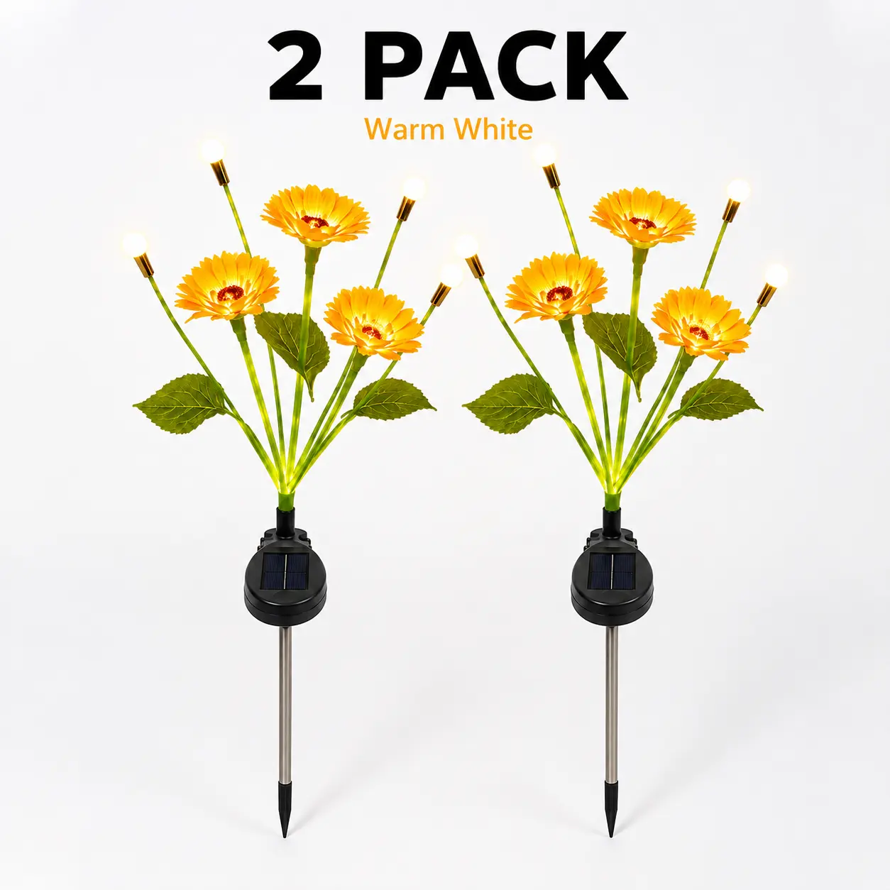 2 Pack