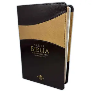 Biblia Letra Grande 12 puntos RV1960 imit duotono café
