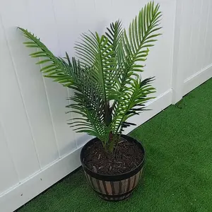 review image 1