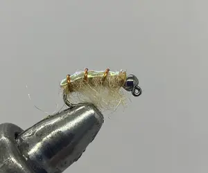 Tungsten Beadhead Jig Scud Cream, Fly Fishing Nymph- Strike Fly Company