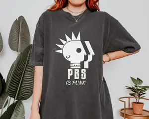 Comfort Colors PBS is Punk T-shirt, Retro Public Broadcasting Service Tee, 70s 80s Nostalgia Shirt, Save PBS, Political Protest Tee