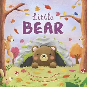 USED-Nature Stories: Little Bear by Igloobooks (Board book)