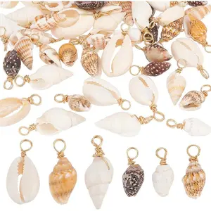 PH PandaHall Shell Pendants Spiral Seashells Craft Charms Cowrie Sea Shells Pendant Natural Shell Charms Conch Shells with Loop Bail