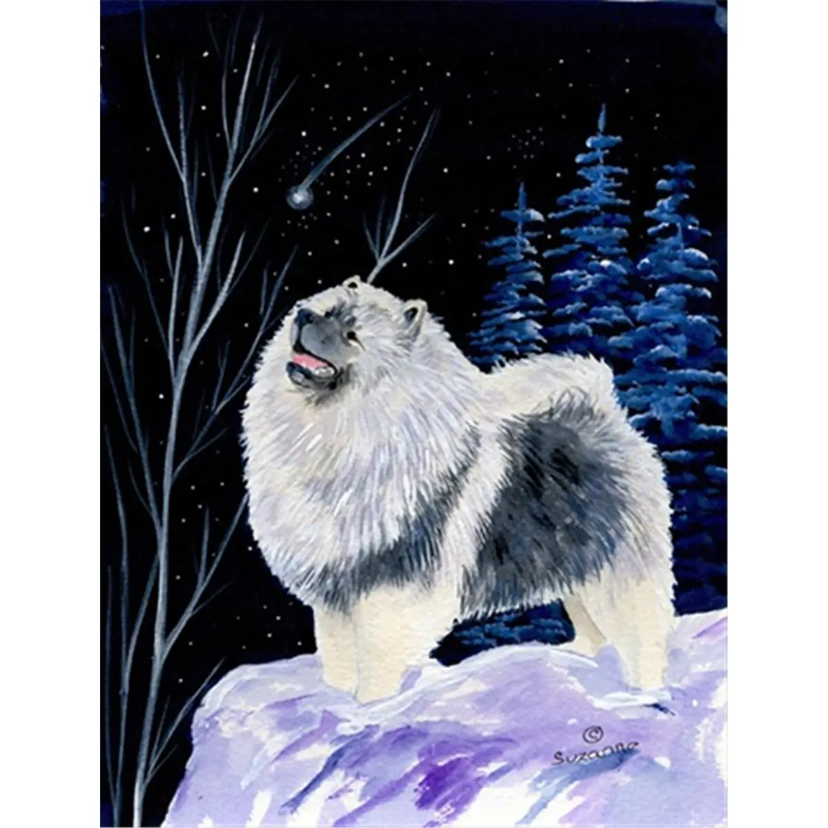 212 MAIN Starry Night Keeshond Full Size Outdoor Decor House Flag, 100% Polyester Weatherproof Fade-Resistant Banner, 28x0.01x40in Home & Festive Party Decor Backdrop