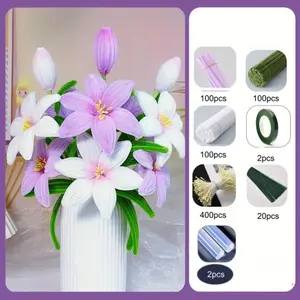 716 Piece Multicolor Twisty Rods Craft Kit, DIY Bouquet Material Pack, Decorative Flower Arrangement, Perfect for Mother's Day Graduation Valentine's Day Easter Gifts