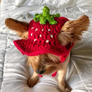 Crochet Strawberry Bucket Pet Hat, Cute Funny Cat Hat, Custom Dog Outfit, Girly Small Dog Costume, Kitten Clothing, Puppy Wear