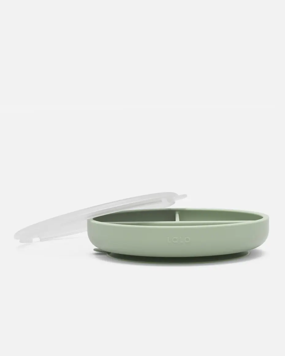 Suction Plate + Lid