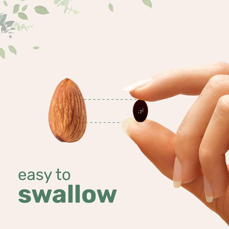 Micro Ingredients Astaxanthin 12mg, 120 softgels | 4 monthly Supply, Natural Tanning, Fresh Microalgae Source, Easy to Swallow