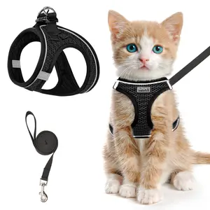 Escape-Proof Cat Harness and Leash Set, Adjustable Reflective Soft Mesh Kitten and Puppy Vest Harness for Outdoor Walking, Durable Comfort-Fit Pet Harness