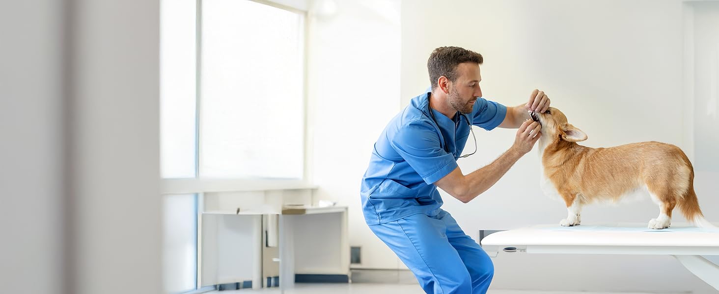 Vet’s Best Enzymatic Dog Toothpaste – Vet Formulated Dental Gel for Teeth Cleaning, Fresh Breath, Tartar Control, Plaque Remover & Oral Hygiene for Dogs, 3.5 oz