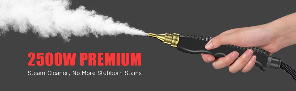 2500W Handheld Steam Cleaner High Temperature Pressurized Steam Cleaning Machine Portable Car Steamer with Brush Heads