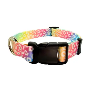 Rainbow Leopard Collar