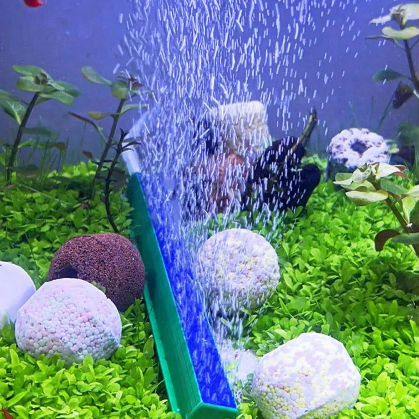 Blue Aquarium Oxygen Stone Cleaner, Ideal for Fish Tanks and Aquaria, Enhances Water Quality, Essential for Healthy Aquatic Life