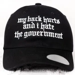 My Back Hurt and I Hate the Government Embroidered Cap, Political Humor Gift Hat for Activists Rebels, Anti Government Hat, Political Hat
