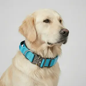 Vibrant Aqua Blue Tactical Dog Collar with Handle - Heavy Duty Anti Pull K9 Training Gear, Quick Release Metal Buckle for Large Dogs, Golden Retriever, Lab - Cyan Padded Pet Collar