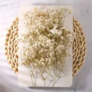 50/100pcs Artificial White Mini Dried Baby Breath Flower Gypsophila Ivory Flowers For Vase Wedding Home Office Party Garden Card Making Decor, DIY Decor