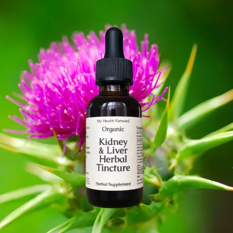 Organic Kidney & Liver Tincture - Herbs for Kidney & Liver Support